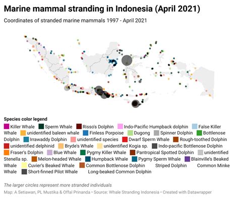 Map - Whale Stranding Indonesia