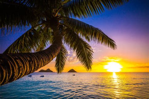 Lanikai Beach Stock Photos, Pictures & Royalty-Free Images - iStock