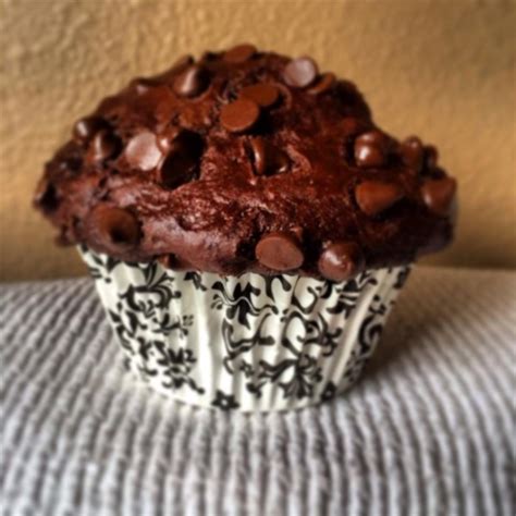 Moist Chocolate Muffins Photos - Allrecipes.com