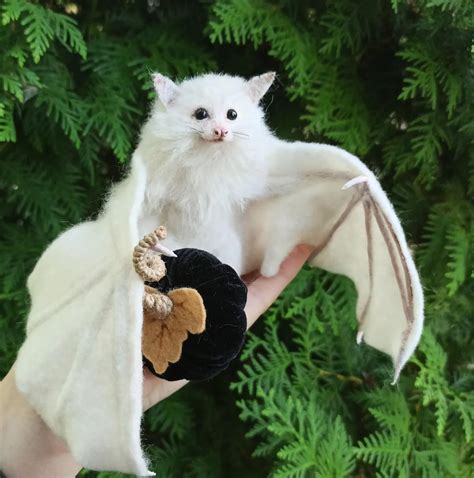 this entire albino bat was made : r/nextfuckinglevel