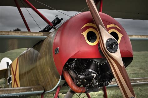 Airplane paint scheme. A real nose job! | Vintage aircraft, Airplane painting, Biplane