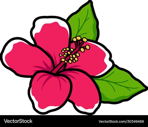 Hawaiian hibiscus flower Royalty Free Vector Image