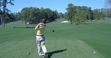 8th Hole at Augusta National: Yellow Jasmine