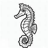 Seahorse Caballito Realista Cavalo Marinho Colorir Marino Colorare  sketch template