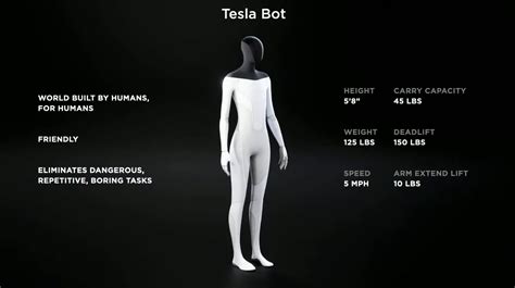 Elon Musk's Tesla Bot will eliminate the need for humans to do physical ...