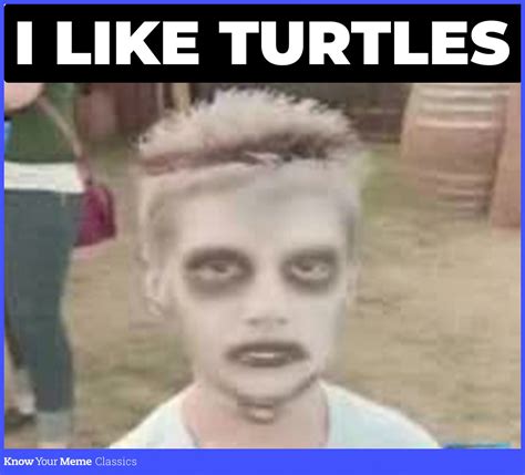 I Like Turtles | Know Your Meme Classics | meme, meme, camera, camera, zombie, zombie, turtle ...