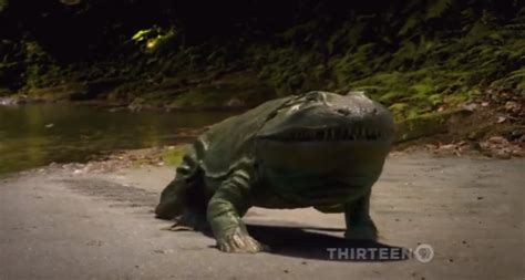 Acanthostega | Dinosaur Alive Wiki | Fandom