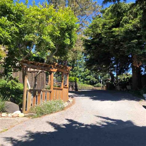 Gorgeous Mill Valley hills Walk Trail - California, USA | Pacer