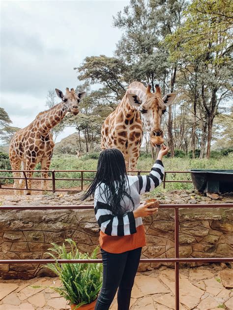 Exciting Visit to the Giraffe Centre (2021) | Travel with a Pen