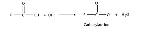 Carboxylate Ion