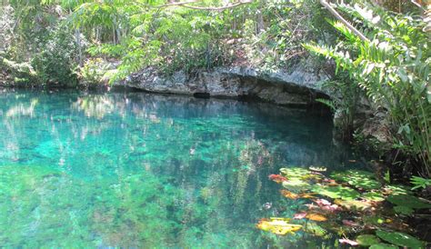 Cenotes Snorkeling Tulum: Snorkeling full day