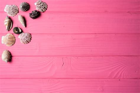 Premium Photo | Seashells on pink wooden background