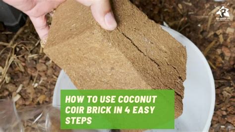 How to use coconut coir brick in 4 easy steps - Ray Garden Day