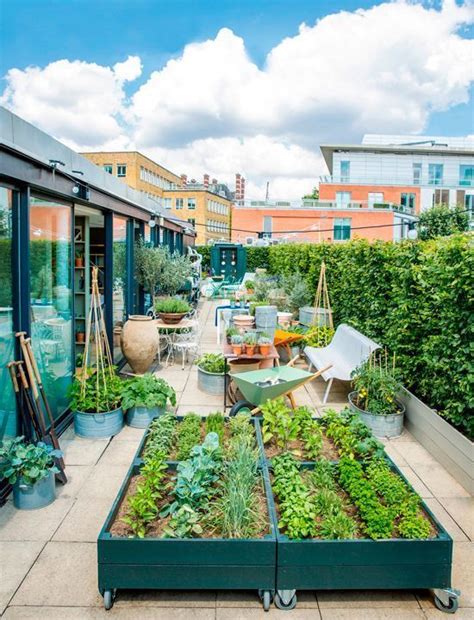 Wie man organisches Gemüse auf der Terrasse anbaut #anbaut #gemuse #organisches #terrasse ...