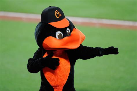 Orioles minors recap 5/19: Baysox get shut out and Tides lose a close ...