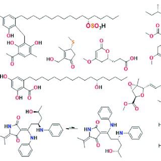 Structures of polyketide derived marine natural products. | Download ...