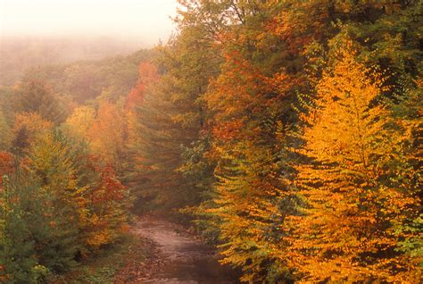 John Burk Photography | Fall Foliage Viewing in Western Massachusetts ...