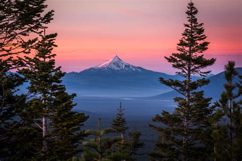 What's Next for Skyline Forest? - 1859 Oregon's Magazine