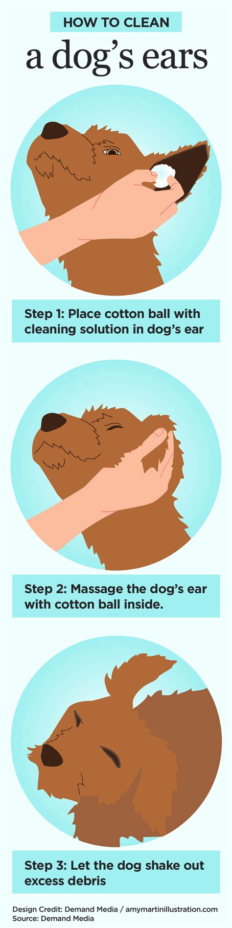 How to Clean Your Dog's Ears with #BayerExpertCare - PetsWeekly.com