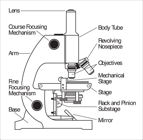 Clipart microscope parts labeled - WikiClipArt