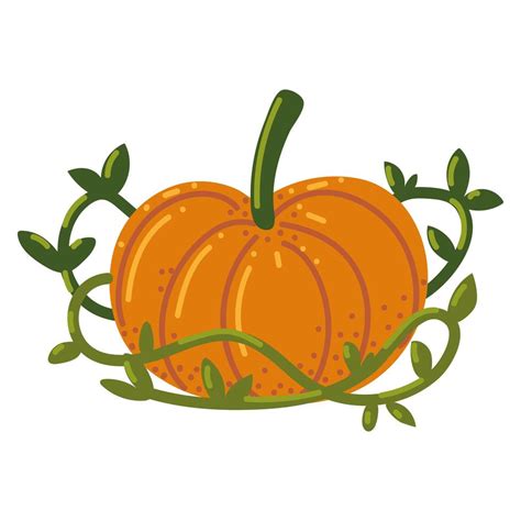 pumpkin leaves organic 4060349 Vector Art at Vecteezy