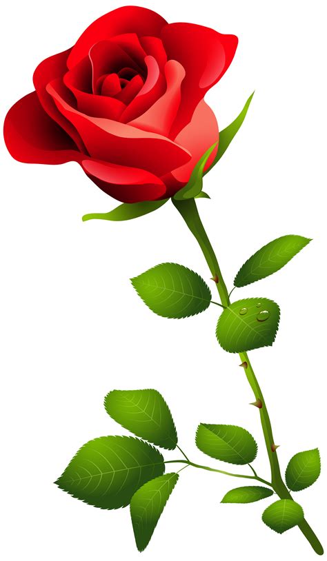 Red Rose Clip Art | Free download on ClipArtMag