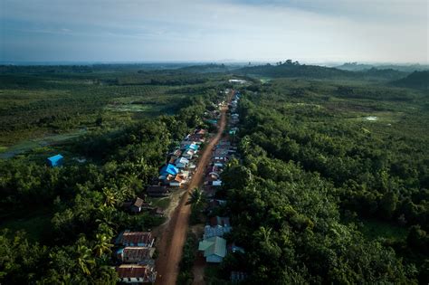 Aerial view of West Kalimantan - a photo on Flickriver