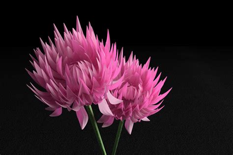 Flowers - Modeling - Blender Artists Community