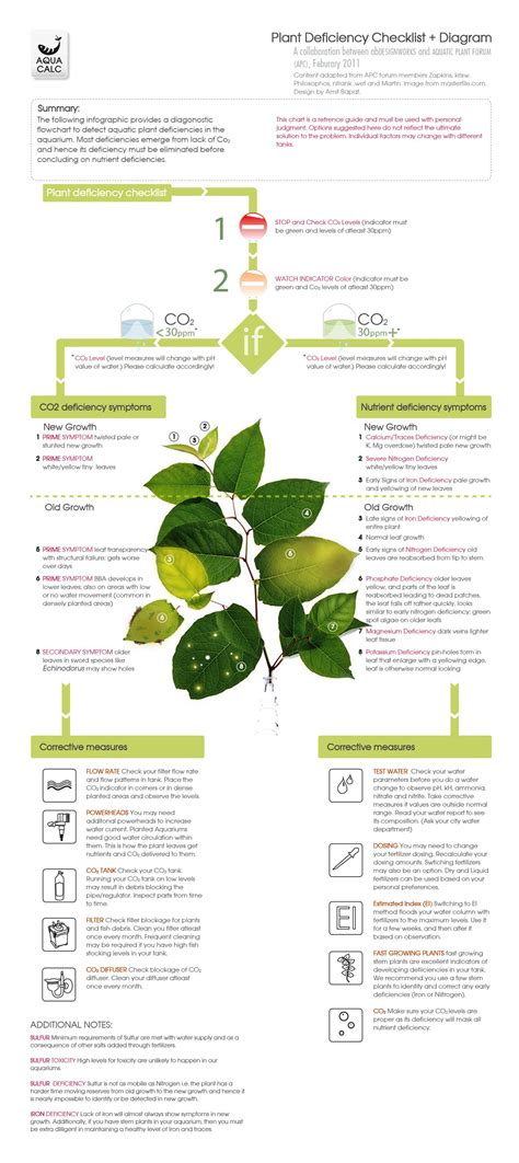 Aquatic Plant Nutrient Deficiencies - Maison & Jardin