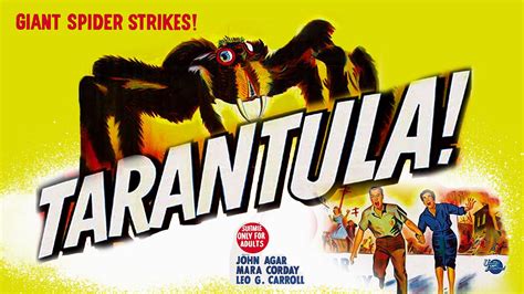 Giant Tarantula Movie