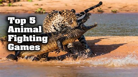 Top 5 Animal Fighting Games Gameplay Video Android/iOS - YouTube