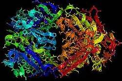 Herceptin - Mechanism of Action - Proteopedia, life in 3D