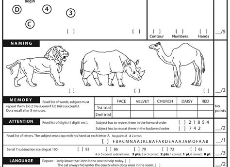 Moca Test PDF Printable