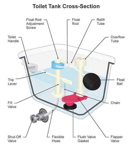 Parts Of A Toilet | Components Of A Toilet