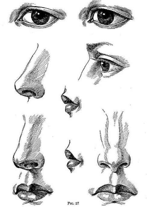 How to Draw Noses by christopherjohn Nose Drawing, Ink Drawing ...