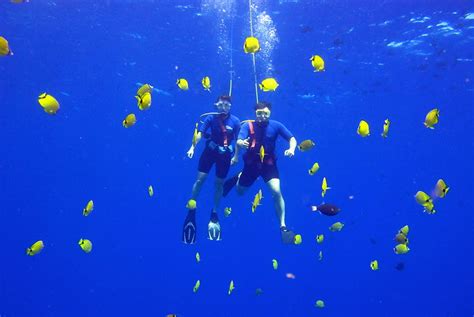 Snuba Diving | Maui, Hawaii | Gotcha Snuba Diving