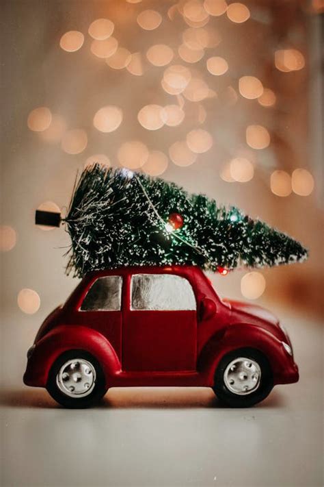 Mini Car Holding Christmas Tree Pictures, Photos, and Images for ...