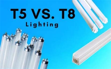 Difference In T5 & T8 Lighting and Where To Use Bulbs