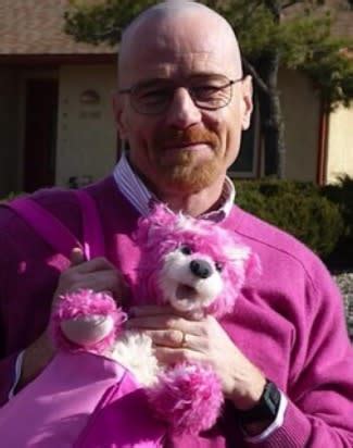 ‘Breaking Bad’: Aaron Paul Reveals Walter White in Pink, With Doomed ...