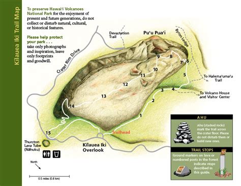 Hike a Solidified Lava Lake in Kīlauea Iki Crater (U.S. National Park Service)