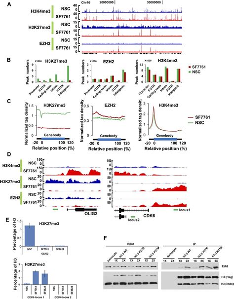 The histone H3.3K27M mutation in pediatric glioma reprograms H3K27 ...