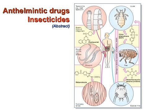 Anthelmintic drugs. Insecticides