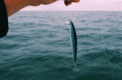 11 Best Surf Fishing Lures You Need to Try • Fishing Duo