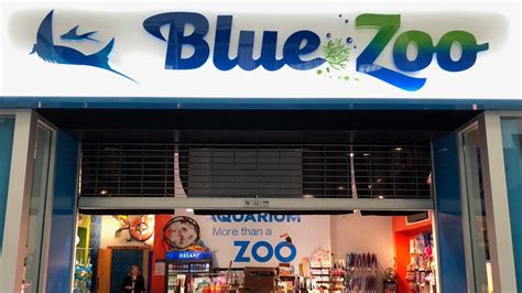 Photos: Blue Zoo interactive aquarium in Spokane | krem.com