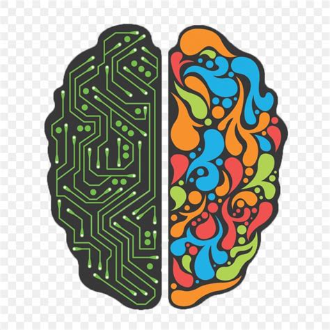 Lateralization Of Brain Function Cerebral Hemisphere Human Brain Right ...