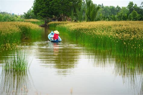 The 5 Best National Parks In The Mekong Delta