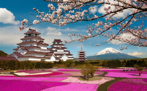 Parks Mountains Pagodas Sakura Volcano Branches Aizuwakamatsu Castle ...