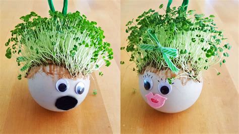 Grow Your Own Chia Pet! A One-Of-A-Kind DIY Ornament | Ornament Shop Blog | DIY Crafts, Gift ...