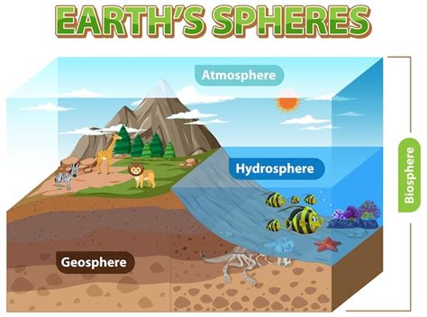 Free Vector | Diagram showing Earths Sphere