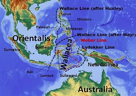 Wallacea Biodiversity Hotspot - WorldAtlas